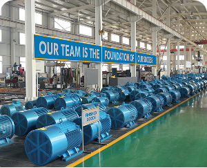 Reluctance Motors
